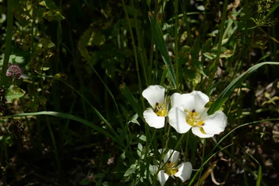 DSC_3239 (Large).JPG